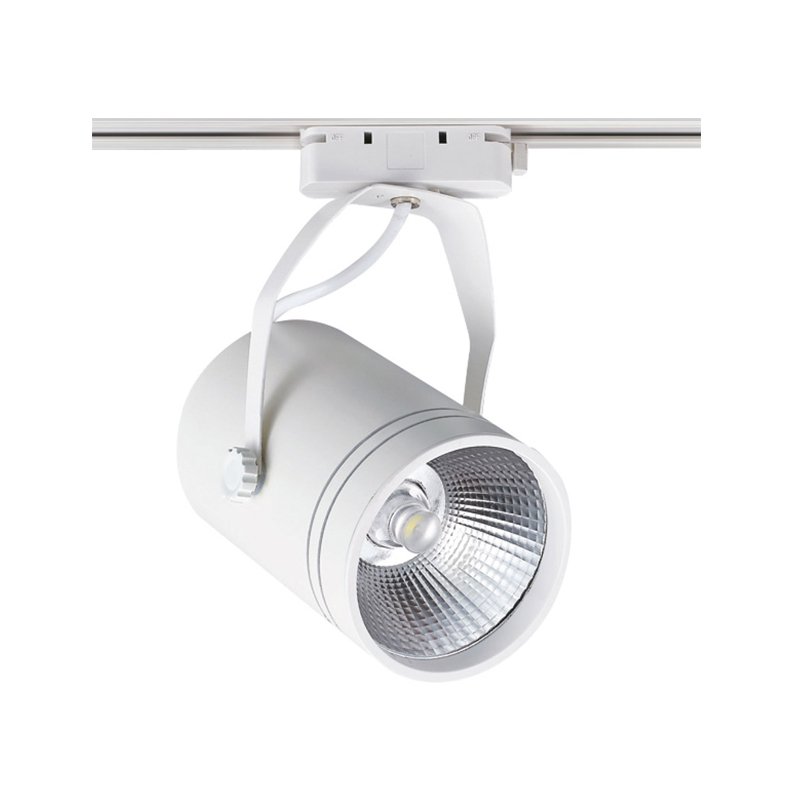 ACK 30W 4000K COB LED Ray Armatür